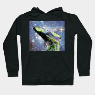 Cosmic Whale Hoodie